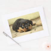 Sticker Rectangulaire Chien à chiot (Enveloppe)
