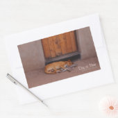 Sticker Rectangulaire Chien au repos (Enveloppe)