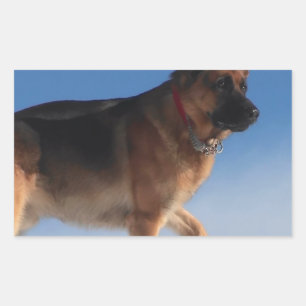Sticker Rectangulaire Chien berger allemand sain et heureux