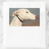 Sticker Rectangulaire Chien de Galgo (Sac)