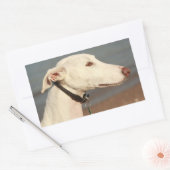 Sticker Rectangulaire Chien de Galgo (Enveloppe)