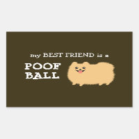 Chien de Poméranie | Mon meilleur ami est un ballo