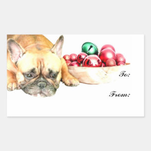 Sticker Rectangulaire Chien de taule français de Noël