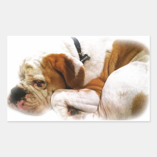 Sticker Rectangulaire Chien descendant (Devant)