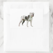 Sticker Rectangulaire Chien-taureau américain - Brown-blanc (Sac)
