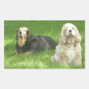 Sticker Rectangulaire Chiens