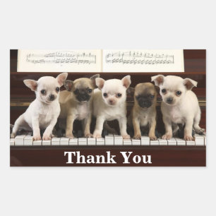 Sticker Rectangulaire Chiens de Chihuahua Merci Chiens ( Chewawa Chiwawa
