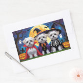 Sticker Rectangulaire Chiens maltais Citrouille Halloween drôle (Enveloppe)