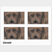Sticker Rectangulaire Chiens Springer anglais (Feuille)