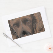 Sticker Rectangulaire Chiens Springer anglais (Enveloppe)