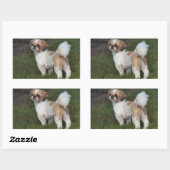Sticker Rectangulaire Chih Tzu (Feuille)