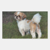 Sticker Rectangulaire Chih Tzu (Devant)