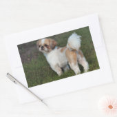 Sticker Rectangulaire Chih Tzu (Enveloppe)