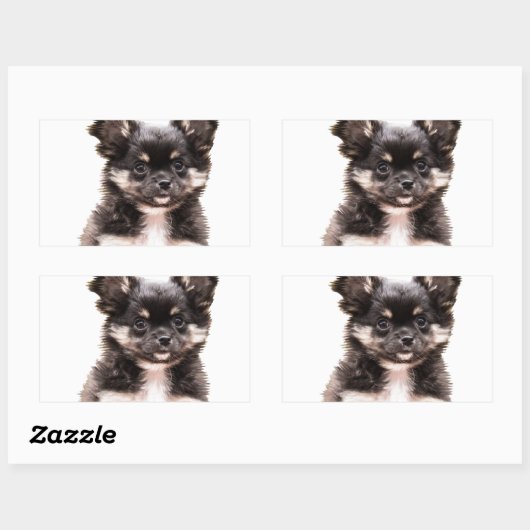 Sticker Rectangulaire Chihuahua Chien chiot (Feuille)