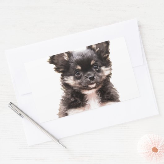 Sticker Rectangulaire Chihuahua Chien chiot (Enveloppe)