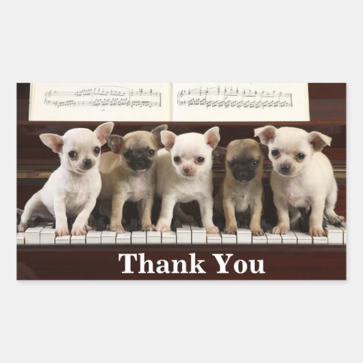 Sticker Rectangulaire Chihuahua Chiens de chiots Mercis ( Chewawa Chiwaw (Devant)
