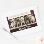 Sticker Rectangulaire Chihuahua Chiens de chiots Mercis ( Chewawa Chiwaw (Enveloppe)