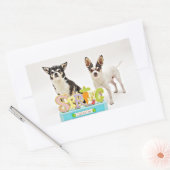 Sticker Rectangulaire Chihuahua du printemps (Enveloppe)