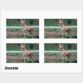 Sticker Rectangulaire Chihuahua Puppy (Feuille)