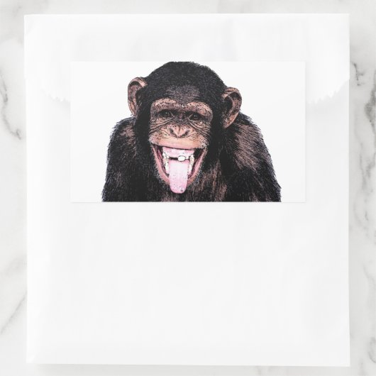 Sticker Rectangulaire Chimpanzé (Sac)