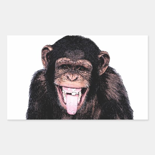 Sticker Rectangulaire Chimpanzé (Devant)