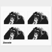 Sticker Rectangulaire Chimpanzé noir blanc (Feuille)