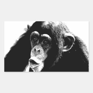 Sticker Rectangulaire Chimpanzé noir blanc