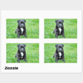 Sticker Rectangulaire Chiot (Feuille)