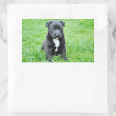 Sticker Rectangulaire Chiot (Sac)