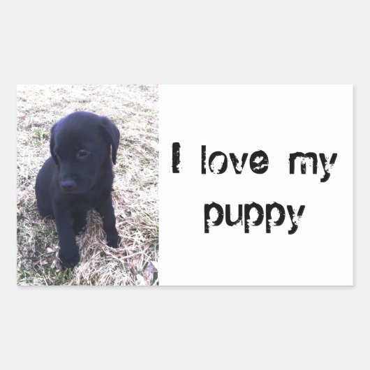 Sticker Rectangulaire Chiot de récupération Black Labrador (Devant)