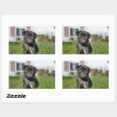 Sticker Rectangulaire Chiot en Carlin noir (Feuille)