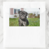 Sticker Rectangulaire Chiot en Carlin noir (Sac)