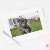 Sticker Rectangulaire Chiot en Carlin noir (Enveloppe)