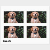 Sticker Rectangulaire Chiot Golden Retriever (Feuille)