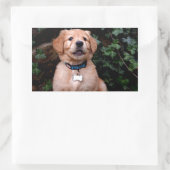 Sticker Rectangulaire Chiot Golden Retriever (Sac)