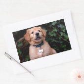 Sticker Rectangulaire Chiot Golden Retriever (Enveloppe)