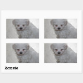 Sticker Rectangulaire Chiot Maltais (9 Mois) (Feuille)