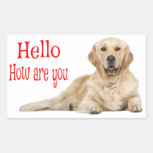 Sticker Rectangulaire Chiots Retriever du Golden - Bonjour Amour