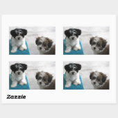 Sticker Rectangulaire Chiots Secourus Havanais Noir Blanc Gris (Feuille)