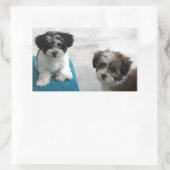 Sticker Rectangulaire Chiots Secourus Havanais Noir Blanc Gris (Sac)