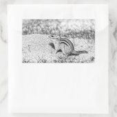 Sticker Rectangulaire Chipmunk Sketch (Sac)