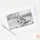Sticker Rectangulaire Chipmunk Sketch (Enveloppe)