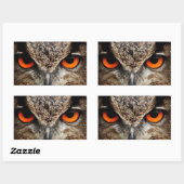 Sticker Rectangulaire Chouette (Feuille)