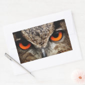 Sticker Rectangulaire Chouette (Enveloppe)