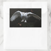 Sticker Rectangulaire Chouette à neige avec ailes ouvertes stcn (Sac)