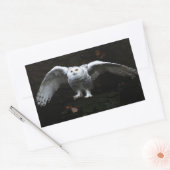 Sticker Rectangulaire Chouette à neige avec ailes ouvertes stcn (Enveloppe)