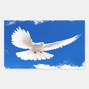 Sticker Rectangulaire Ciel de vol d'amour de paix d'oiseau de colombe de