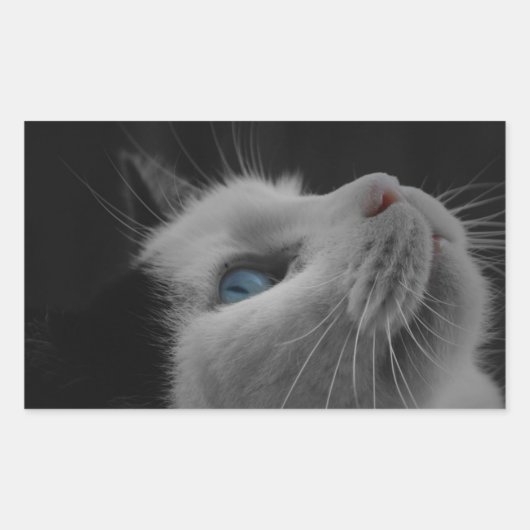 Sticker Rectangulaire Ciel étoilé noir & blanc chat avec yeux bleus (Devant)