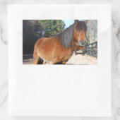 Sticker Rectangulaire Ciel turquoise de poney Brown (Sac)