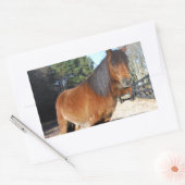 Sticker Rectangulaire Ciel turquoise de poney Brown (Enveloppe)